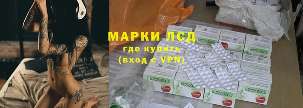 стаф Алзамай