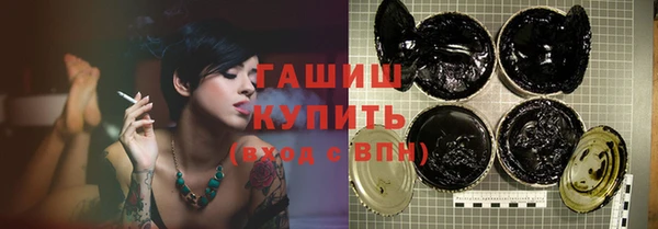 стаф Алзамай