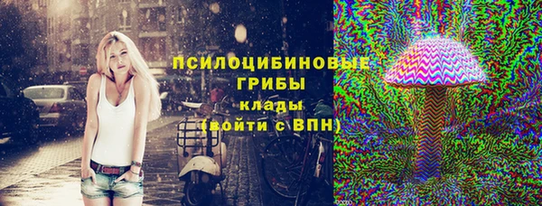 герыч Алексин
