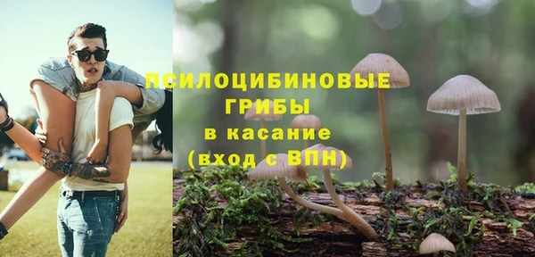 стаф Алзамай