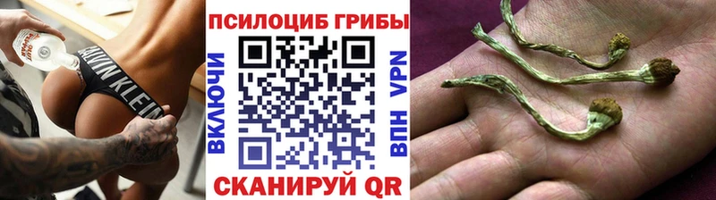 купить наркоту  Сельцо  Псилоцибиновые грибы мухоморы 