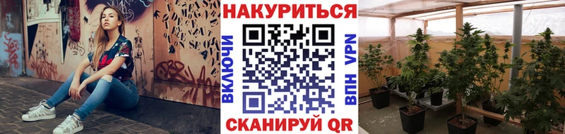Шишки марихуана LSD WEED  mega ссылка  Сельцо 